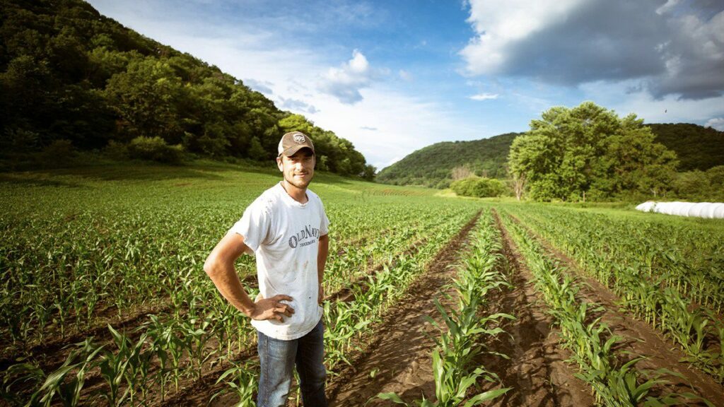 L'assurance multirisque agricole