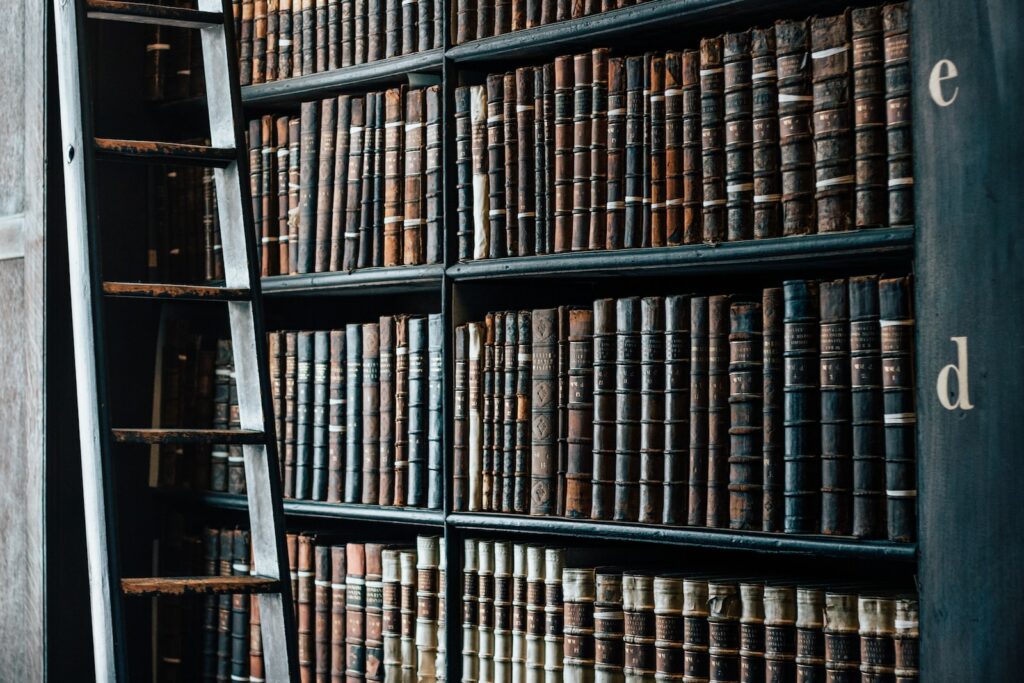 Comment fonctionne l'organisation judiciaire ? - Aide BTS Assurance