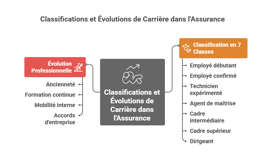 Classifications et Évolutions de Carrière dans l'Assurance