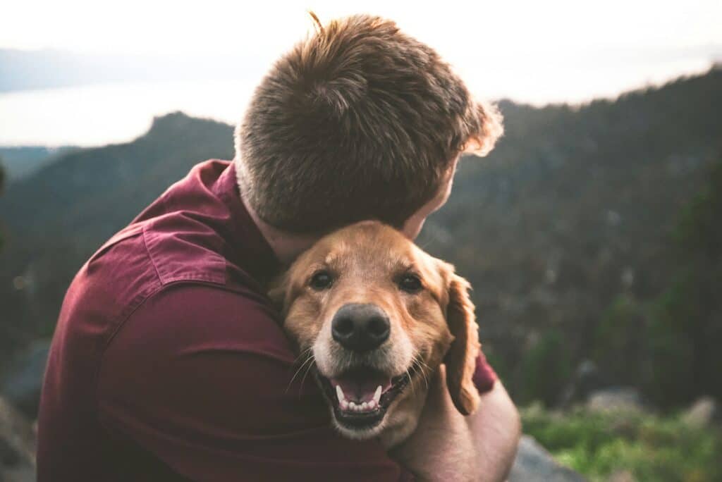 Guide Complet sur les Traitements Anti-Puces pour Chiens : Cachet anti-puce