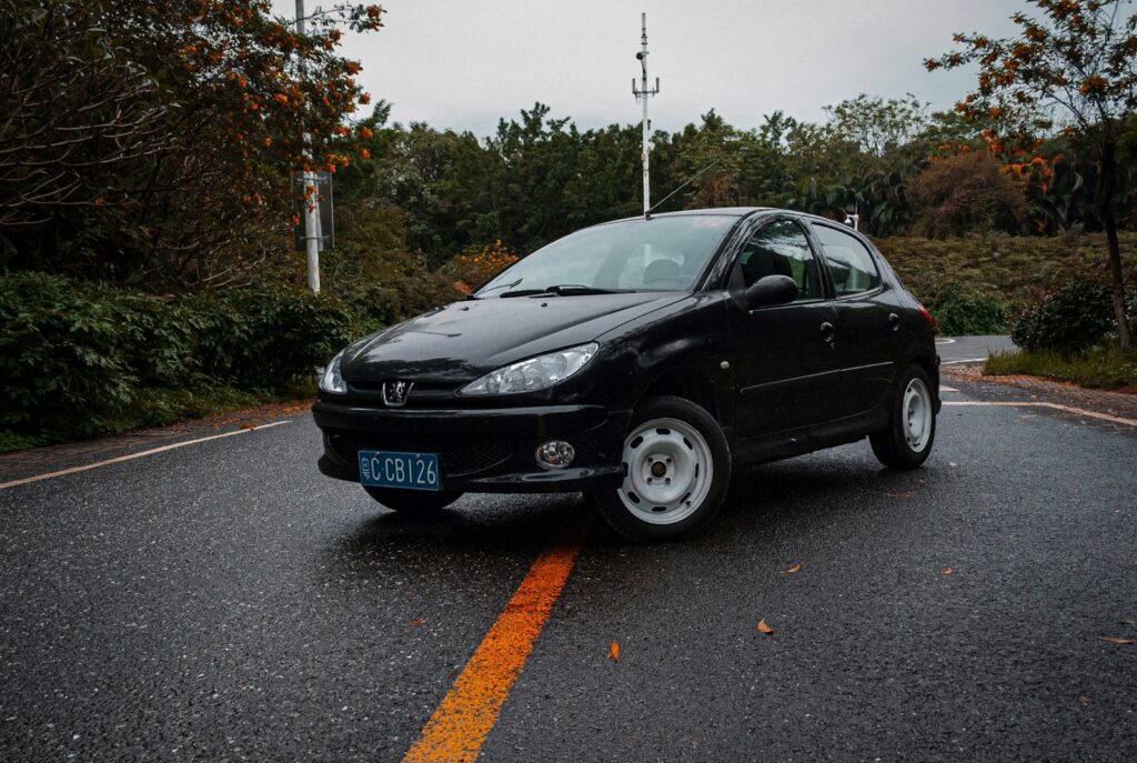 assurance auto pour peugeot 206