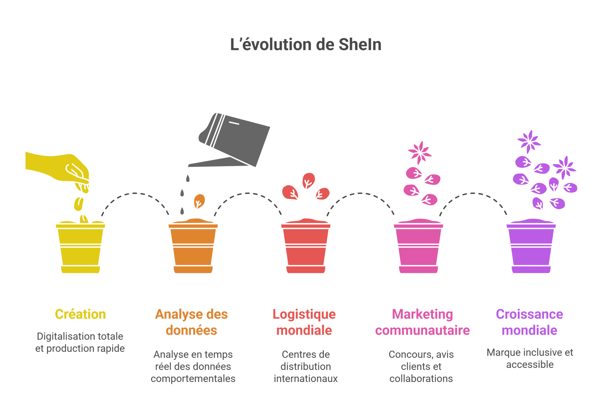 L’évolution de SheIn