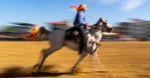 découvrez notre assurance équine complète, conçue pour protéger votre cheval contre les imprévus de la vie. bénéficiez de tarifs compétitifs et d'une couverture adaptée à vos besoins pour garantir le bien-être de votre compagnon.