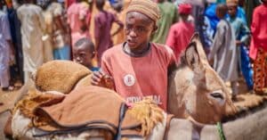 découvrez notre assurance pour chevaux, conçue pour protéger votre précieux compagnon. offrant une couverture complète pour les soins vétérinaires, les accidents et les maladies, notre police d'assurance équestre vous assure tranquillité d'esprit. obtenez un devis personnalisé dès aujourd'hui !
